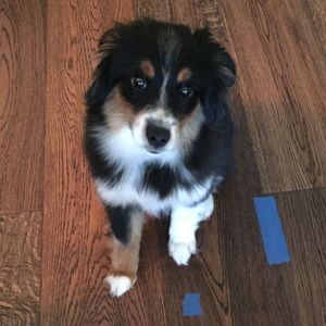 Meet your Posher, Rebecca